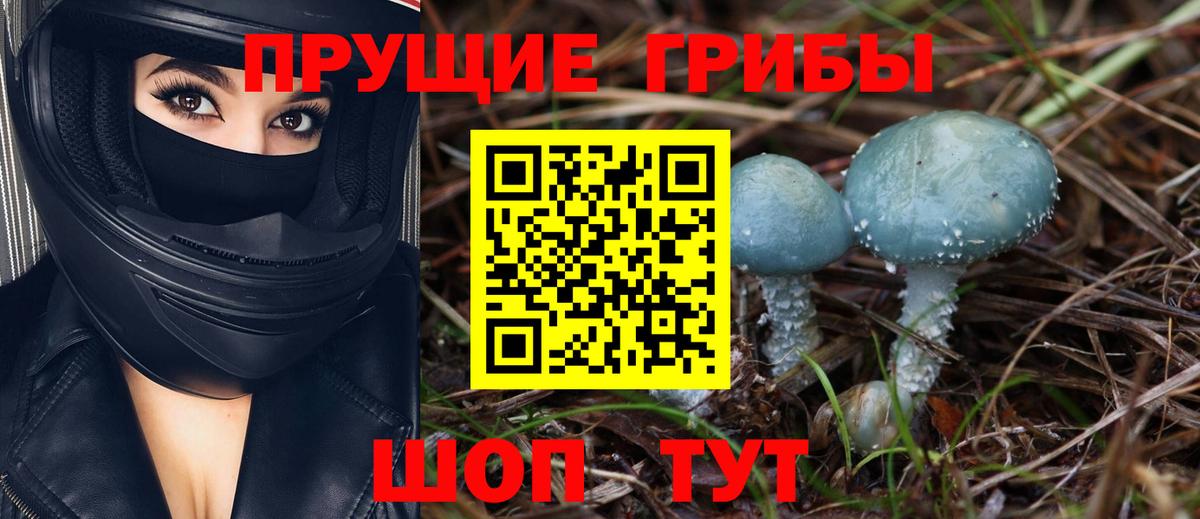 Псилоцибиновые грибы MAGIC MUSHROOMS  Вход с VPN  Назрань 