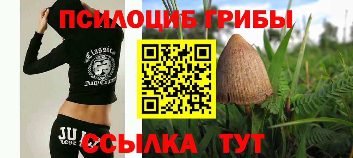Псилоцибиновые грибы Psilocybine cubensis Назрань